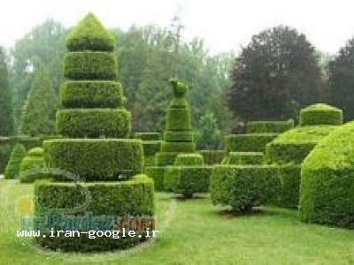 انجام امور فضای سبز و باغبانی منزل و محل کار و ویلا و