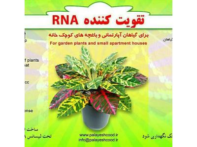 تقویت کننده، تقویت گل، تقویت کاکتوس و کود آهن بیولوژیک 