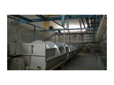 فروش کشتارگاه صنعتی طیور در استان تهران