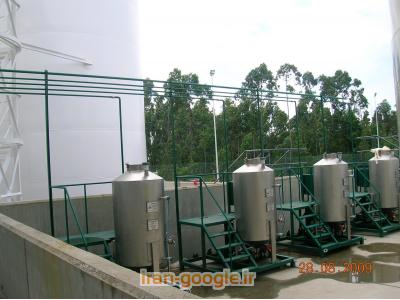 تولید بیودیزل