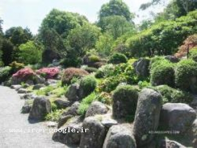 خدمات مهندسی فضای سبز و محوطه سازی