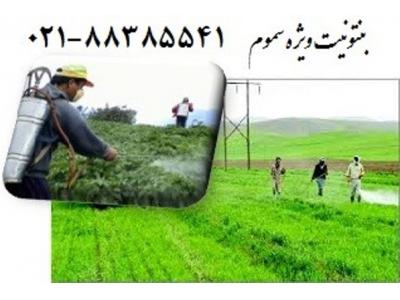 فروش بنتونیت ویژه سموم