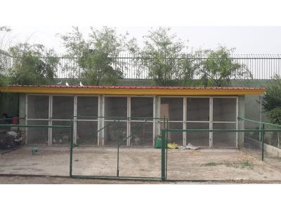 دیوار محوطه-فروش باغ ویلا ۱۵۰۰ متری در ملارد ویلای جنوبی(کد142)