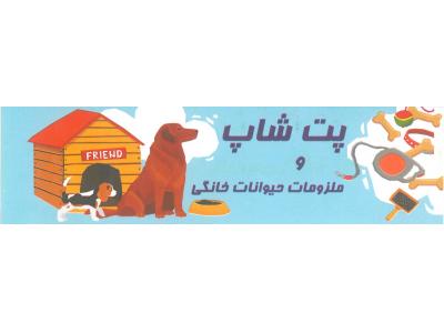 سگ خانگی-کلینیک دامپزشکی پارسیان پاسداران