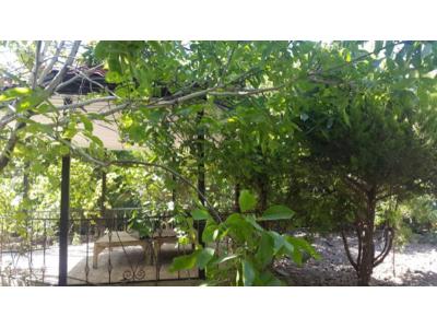  فروش باغ ویلا با سند و فول امکانات