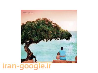 cd آموزشی   آرامش در زندگی 