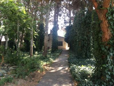 فروش باغ ویلا 12000 متری در تیسفون (کد153)