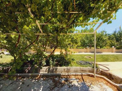 8250 متر باغ ویلا با سند شش دانگ در شهریار