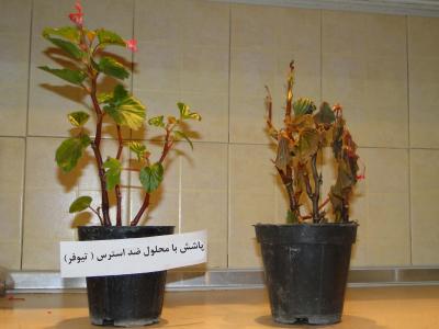 مقاومت گیاه-ضدیخ و ضد استرس گیاهان