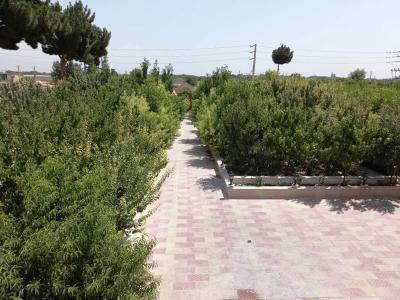 محوطه سازی باغ-باغ ویلای 1000 متری در شهریار