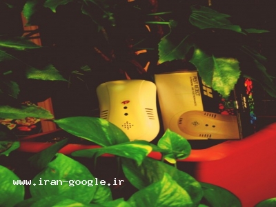 پاکسازی ساس ،ریشه کن کننده سوسک ریز