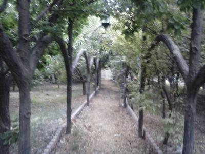 ویلا باغ در شهریار- فروش باغ ویلا 5000 متری در کردزار(کد176)