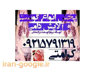 خرید گوشت گوساله و گوسفندی نژاد مغانی