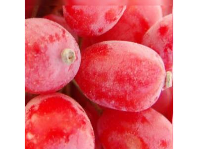 فروش عمده زرشک و ارسال به سراسر ایران