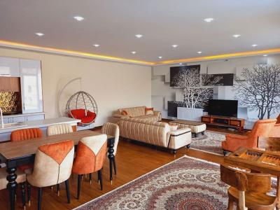 700 متر باغ ویلا با چیدمان داخلی جذاب در ملارد