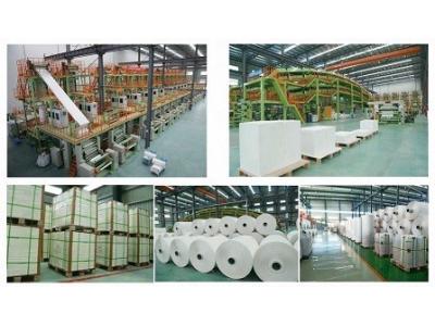 خط تولید کاغذ سنگی