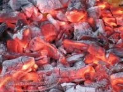 ساخت و تولید انواع دستگاههای زغال قالب ، خط تولید زغال قالب در تهران