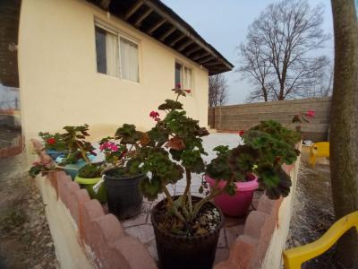 فروش فوری خانه باغ