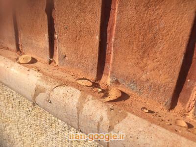 نانوپلیمر و نانوسیلیکون جایگزین قدرتمند ایزوگام