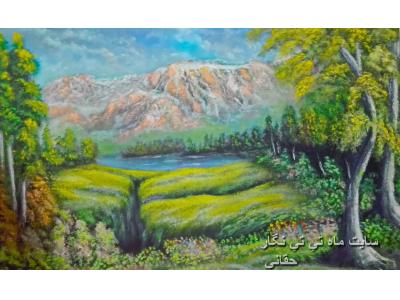 سیاه قلم چهره توسط استاد حقانی 