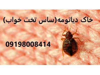 خاک دیاتومه تخت خواب