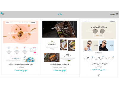 شرکت طراحی سایت بیاسا