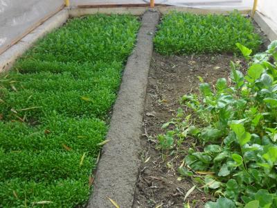  ویلا با بنای شیک و مدرن