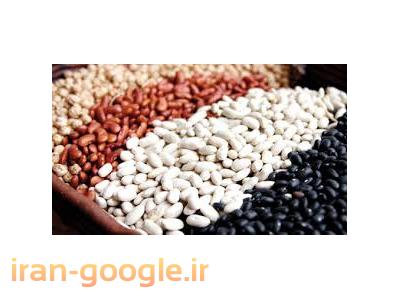 توزیع و پخش عمده لوبیا چیتی| فروش فله ای لوبیا |لوبیا قرمز