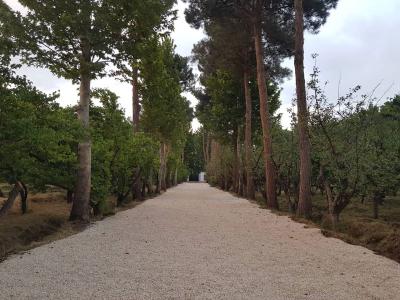 قطعات 400 متری و 500 متری با شرایط عالی در شهریار