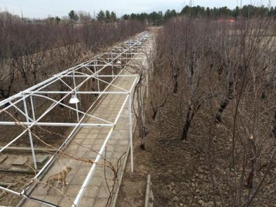 فروش باغ ویلا 2000 متری در صفادشت (کد240)