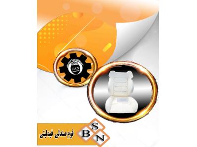 شرکت تولیدی قطعات صندلی بین الملل بسپارسامان نیکان نوری