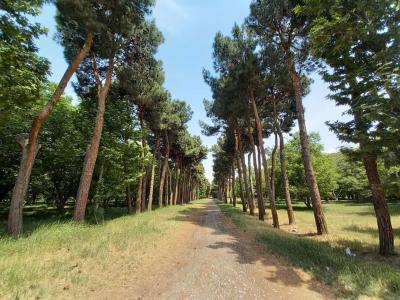 فروش قطعات 500 متری و 1000 متری در شهریار