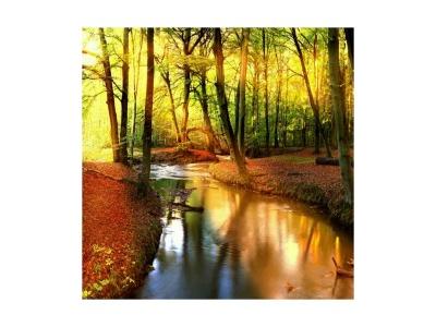 تابلو نوری بک لایت یا پشت چراغ دار