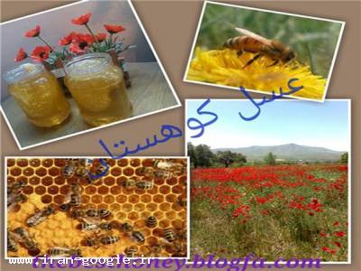 فروش عسل-تولید،عرضه و فروش عسل طبیعی و ارگانیک با بالاترین کیفیت تضمینی 