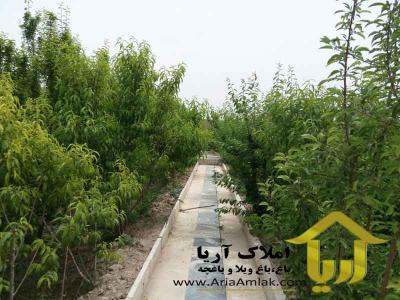 فروش باغ ویلا در شهریار منطقه سزسبز فردوسیه کد :174