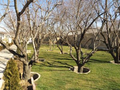  فروش باغ ویلا 3000 متری در شهریار(کد260)