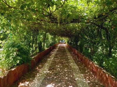 خرید دوربین مداربسته-6250 متر باغ ویلا با انواع درختان میوه در شهریار