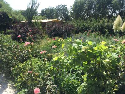 فروش باغ ویلا 12000 متری در تیسفون (کد153)