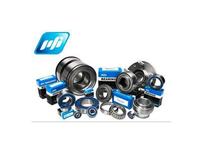 نمایندگی بلبرینگ pfi 