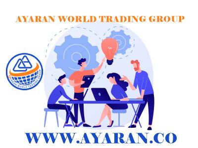 Global-Ayyaran international digital marketing company 