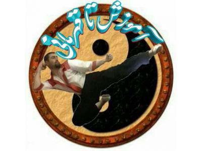 ارایه انواع خدمات ماساژ وآموزش هنرهای رزمی