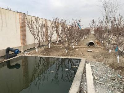 محوطه سازی باغ ویلا-1250 متر باغ ویلایی مشجر در شهریار