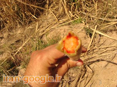 فروش عمده شكر زرد و سرخ