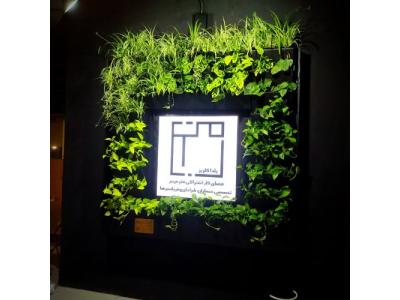 چوب ترمو مشهد-دیوار سبز حرفه ای – گرین وال