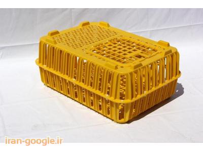 ♪فروش قفس حمل مرغ زنده ♫