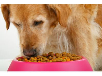 بسته بندی غذا-غذای خشک سگ