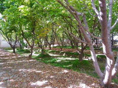 1500 متر باغ ویلا با انشعابات کامل در شهریار