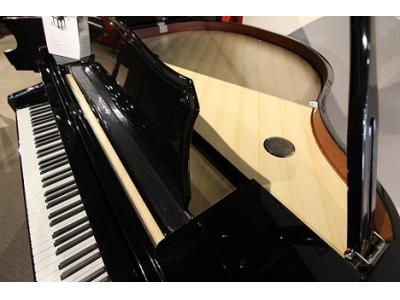 خودکار لوکس-فروش استثنایی پیانوهای دیجیتال دایناتون VGP-4000