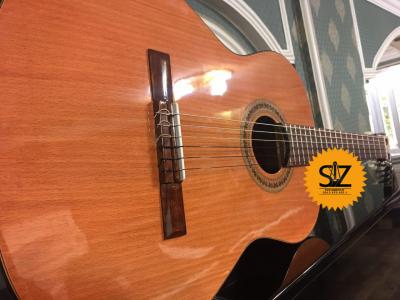 فروش گیتار ریموندو Raimundo با پرتاپ صدای بالا