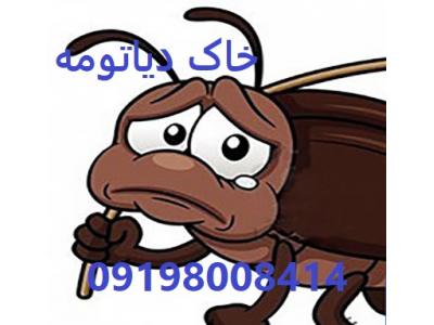 خاک دیاتومه  ساس